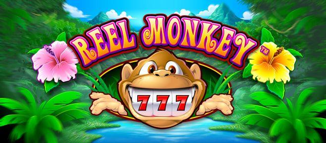 tg777 casino free spin